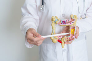 Doctor exhibits a colon model with Crohn's disease markers for educational insight.